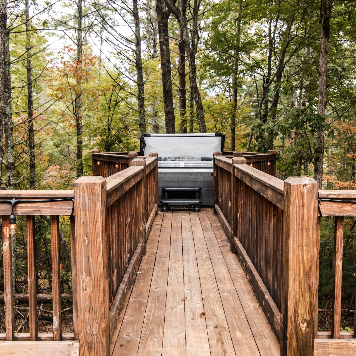 Cabin with Hot Tub, Firepit, Game Room, Dogs Welcome, 7 Acres